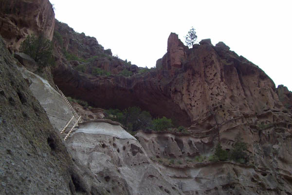 jill_bandelier