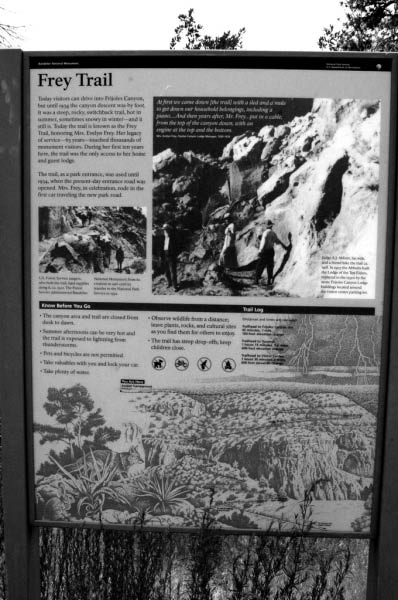 marcie_freytrail_sign