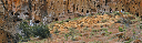 marcie_dwellings