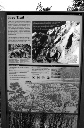 marcie_freytrail_sign